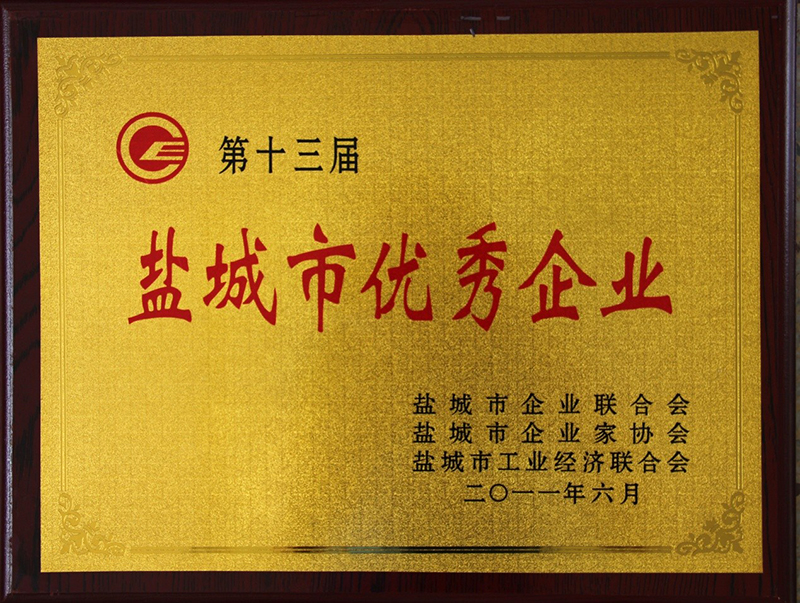 The Outstanding Enterprise of Yancheng City(13rd)