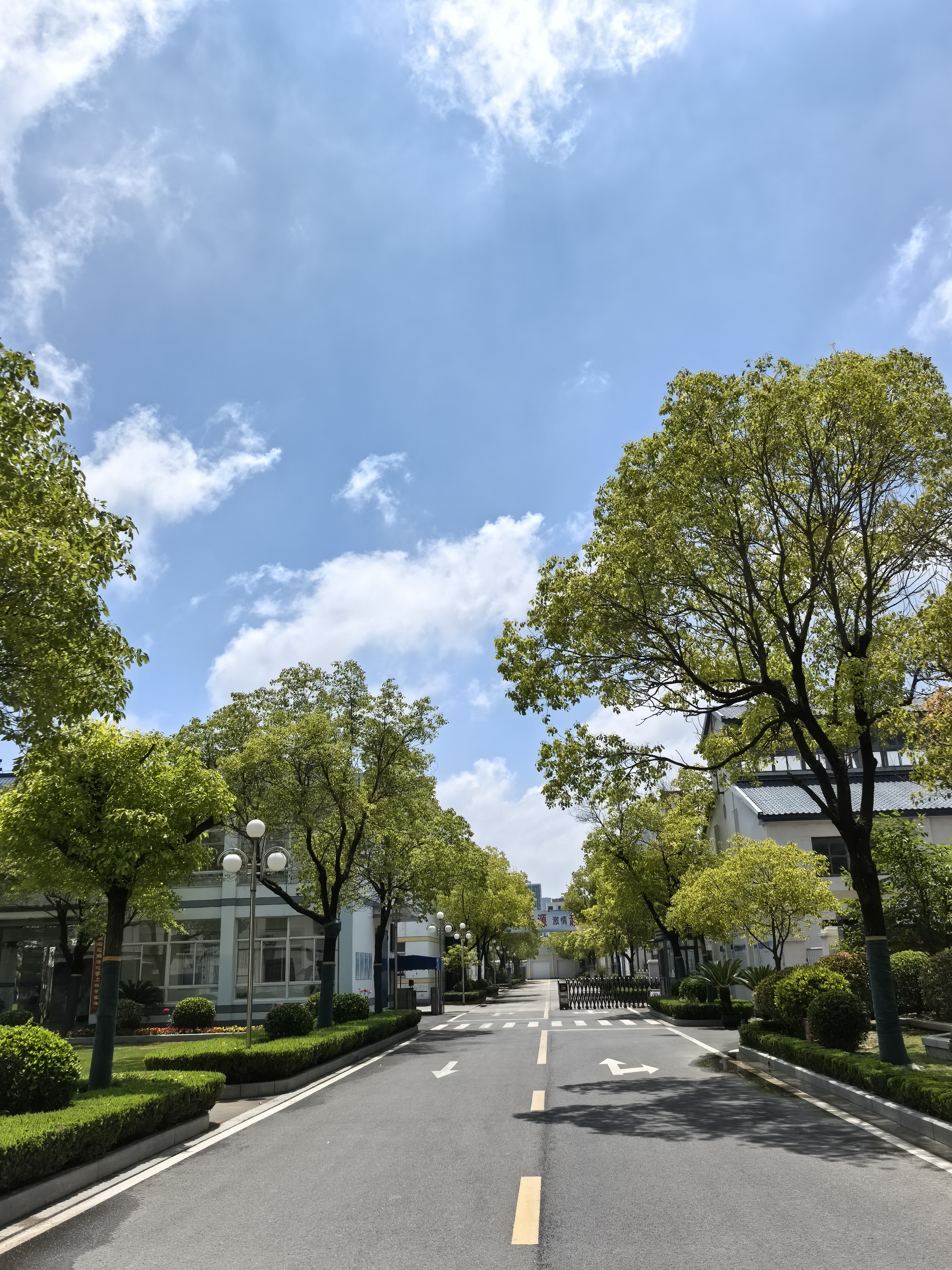 风景