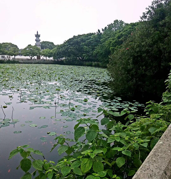 1764074100406788.jpg 微信图片_20180523160521_副本.jpg