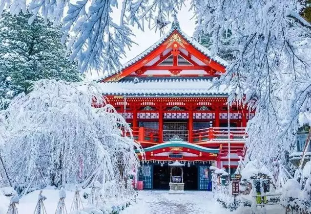 1764074261916937.png )R2IU8WH~TH2QCZU_9[0)J9.png