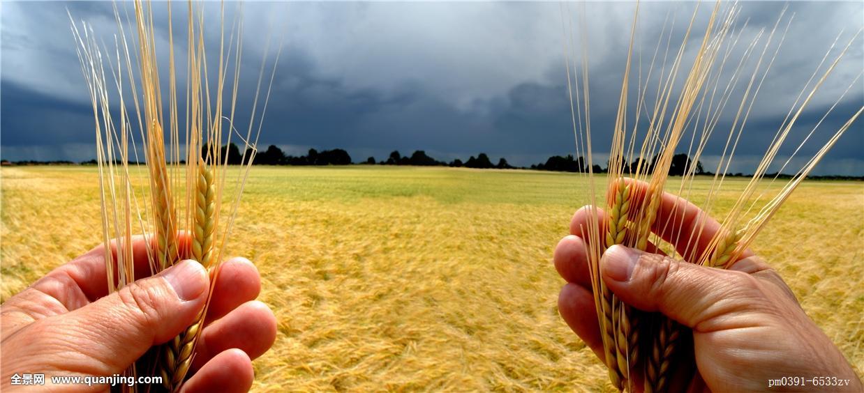 1764074283646775.jpg d734c64f6e21aa02700d4a8c66c6ec96.jpg